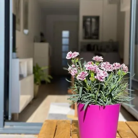 Apartment Cosy Fleur De Lys