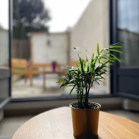 Cosy Fleur De Lys Appartement *