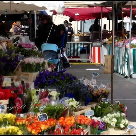 Cosy Fleur De Lys Apartment