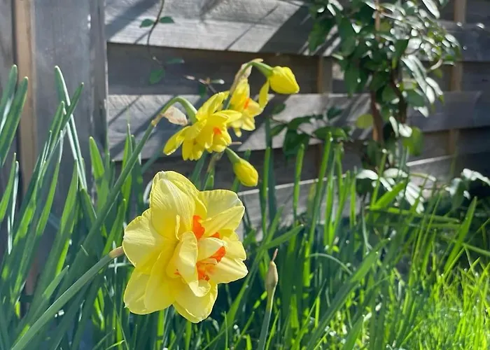 Cosy Fleur De Lys Apartment *